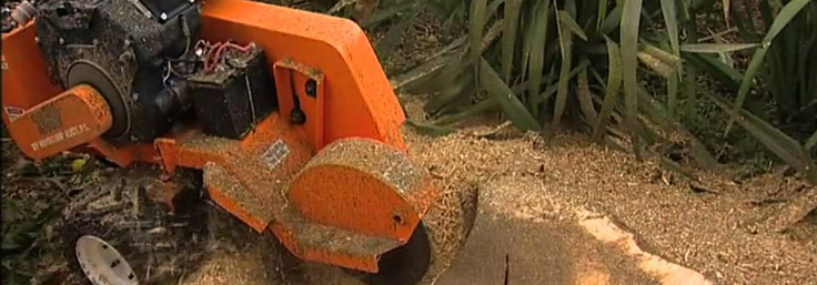 Stump Grinding header