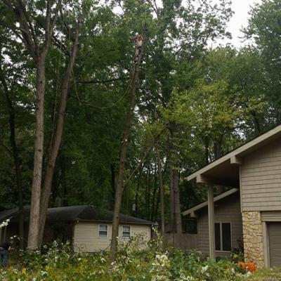 11045501 1021531347910425 3879148637437230637 N