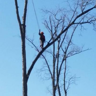 12115797 1021535617909998 3142828368906871278 N