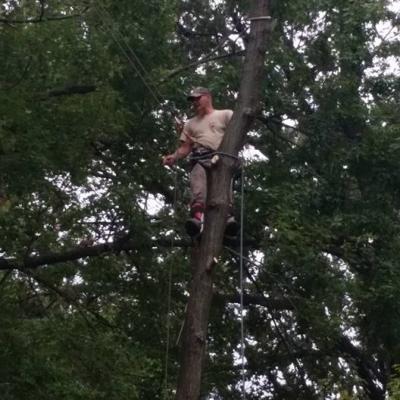 12278658 1021531374577089 2203941376033504013 N