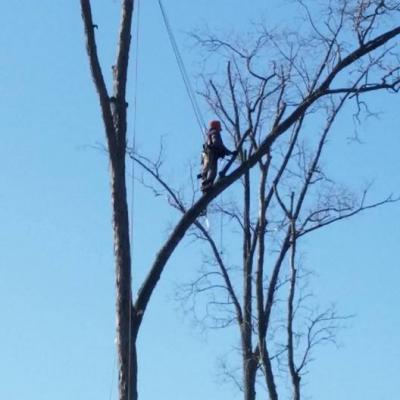 12278953 1021535637909996 7832878009986535626 N