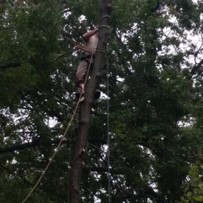 12295378 1021531357910424 3789340277430424064 N