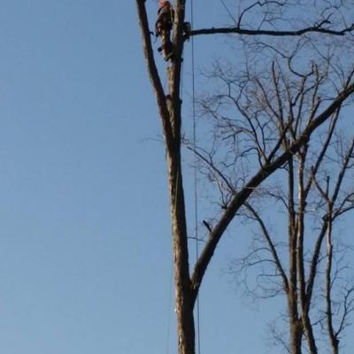 12295401 1021535584576668 7636019694931562282 N