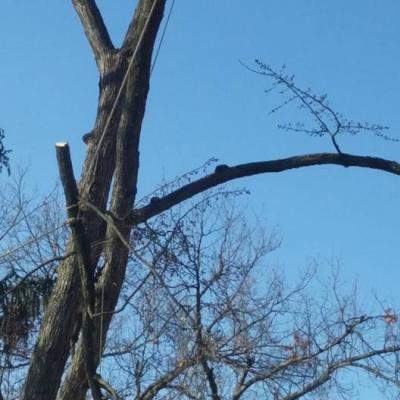 12301768 1027556727307887 3110213912401443916 N