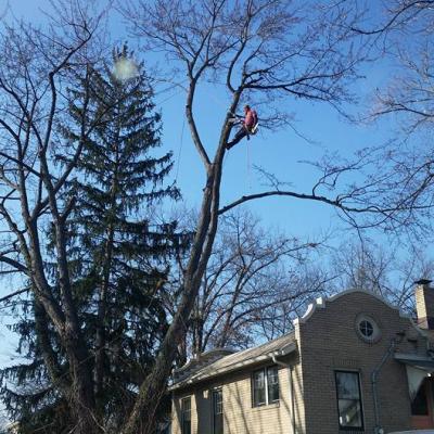 12308267 1027556747307885 7230117352969684123 N