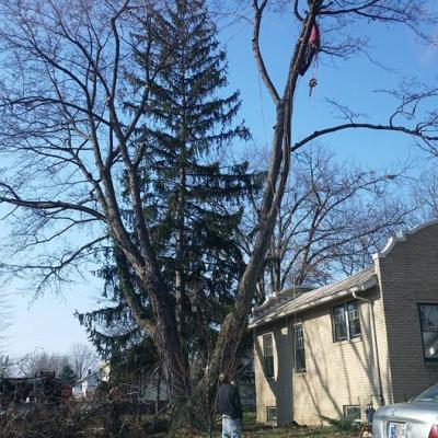 12308400 1027556657307894 4741957800540463381 N