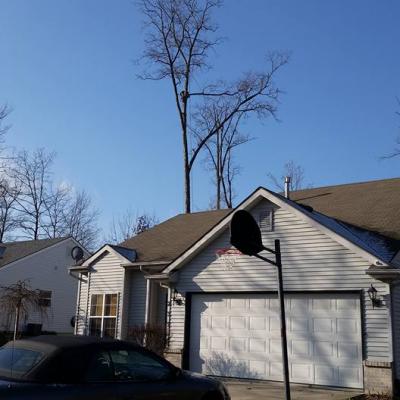 12310689 1021535574576669 3408927810263375778 N