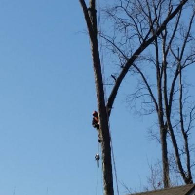 12310722 1021535604576666 6781887248142142085 N