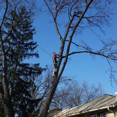 12311149 1027556540641239 1025953768057988285 N