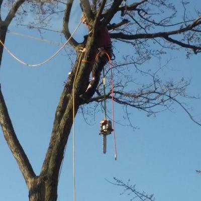 12313928 1027556703974556 8122261286675198110 N