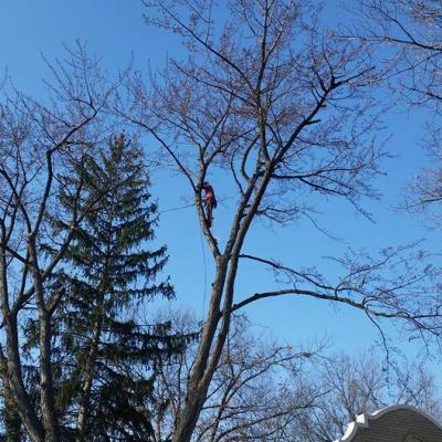 12341428 1027556597307900 6405718780388289929 N