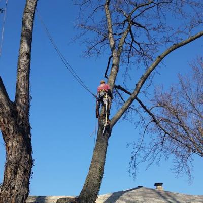 12345472 1027556530641240 4613398832241953542 N