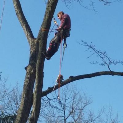 12345554 1027556763974550 6021970367695826836 N