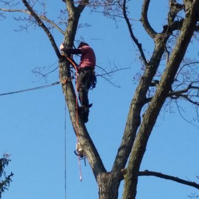 12360229 1027556630641230 5858634260452925002 N