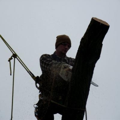 167193 1526888736722 6745993 N