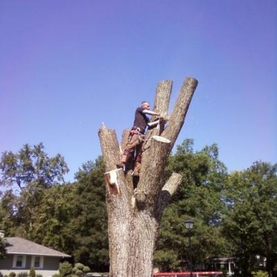 1910206 1117599144738 1719720 N