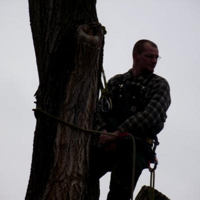 33802 1526889376738 87987 N