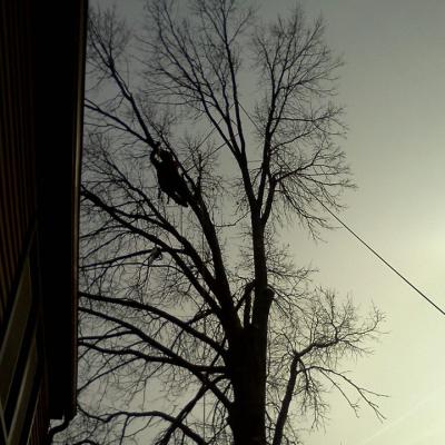 419346 336141719740492 1303140036 N