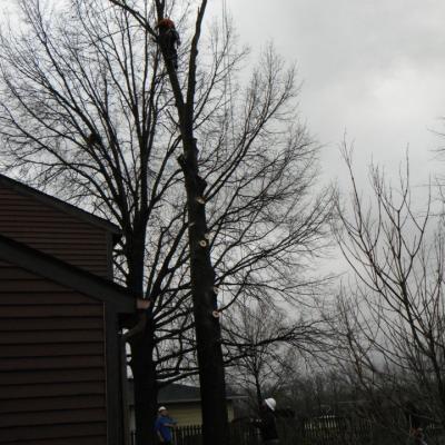 430328 338834772804520 1854246606 N