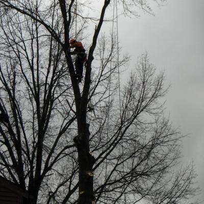 430755 338834469471217 325062893 N