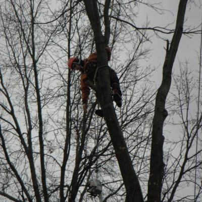 430869 338835216137809 1643223972 N