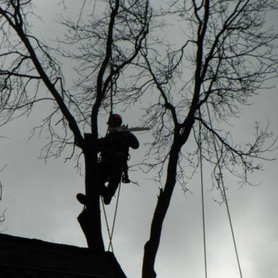 432185 338835389471125 1253085434 N