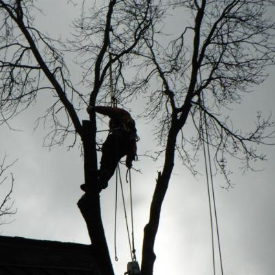 432186 338835456137785 472690524 N